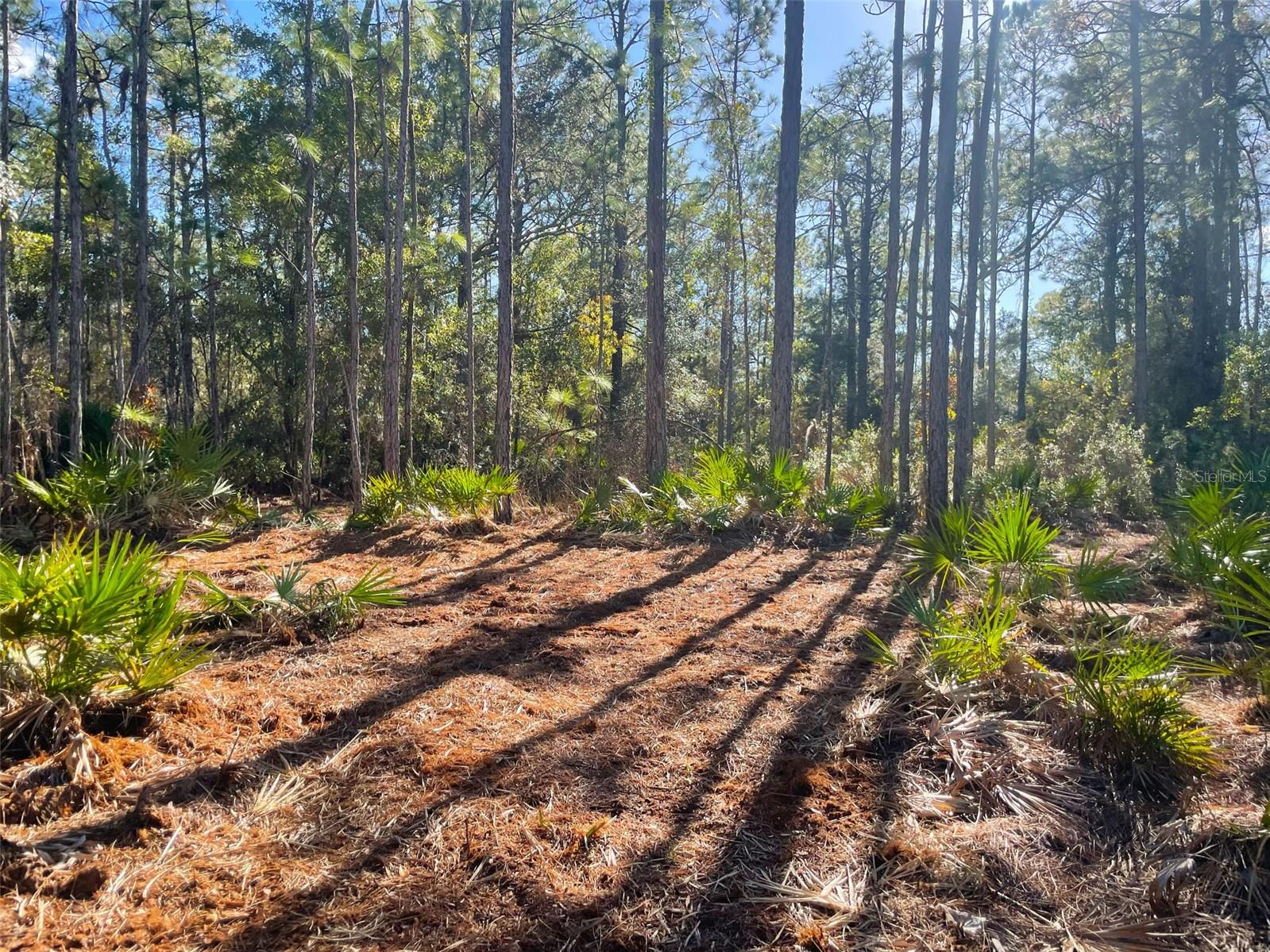9115 S Suncoast Blvd Property Photo 10