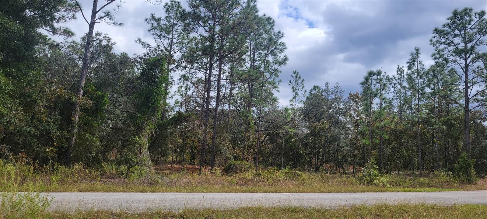 0 SW ARROW LEAF TRL Property Photo 1