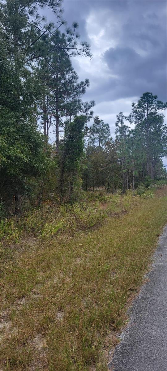 0 Sw Arrow Leaf Trl Property Photo 2