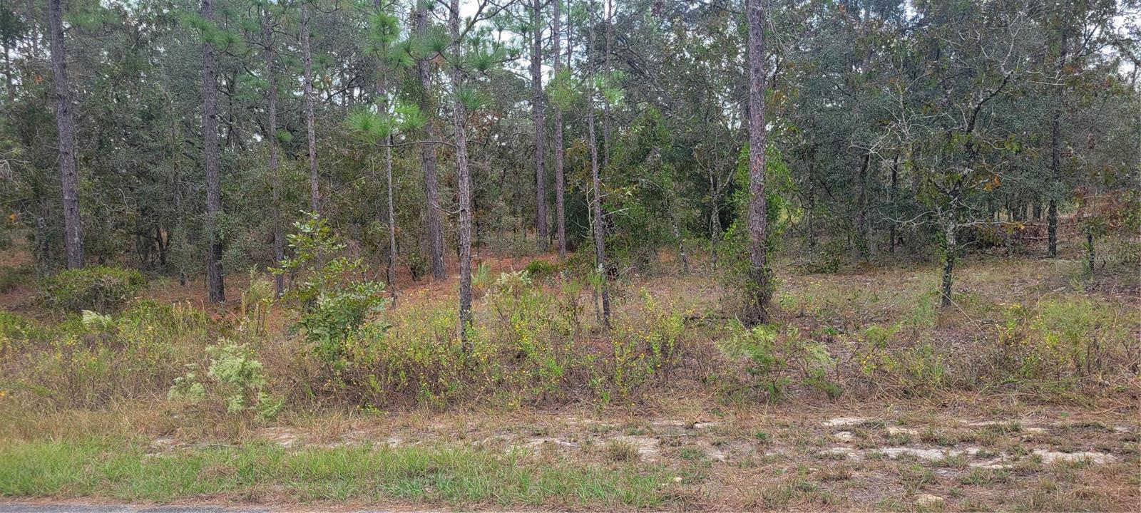 0 Sw Arrow Leaf Trl Property Photo 3