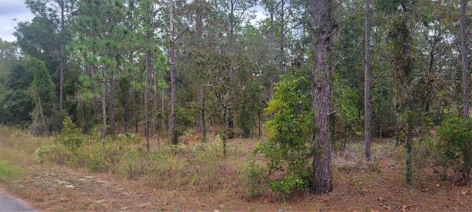 0 Sw Arrow Leaf Trl Property Photo 4