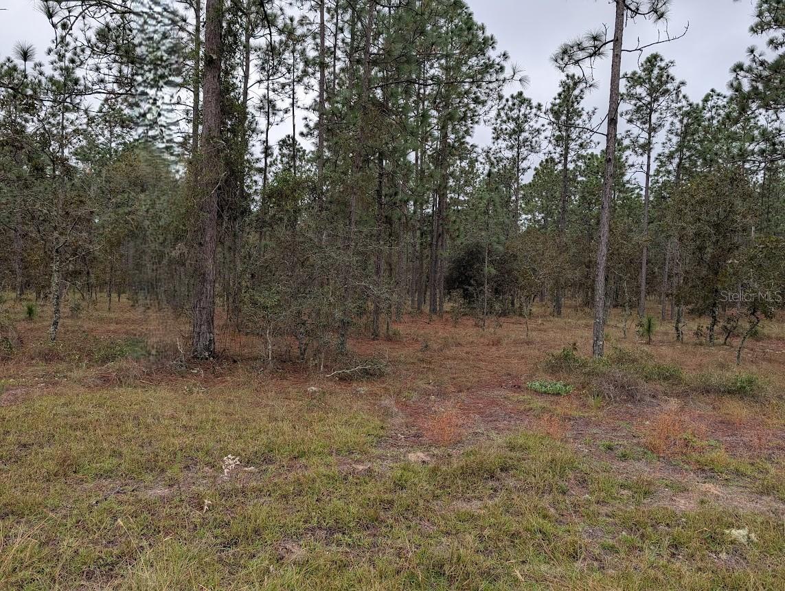 Lot 13 NW GERANIUM AVE Property Photo 1
