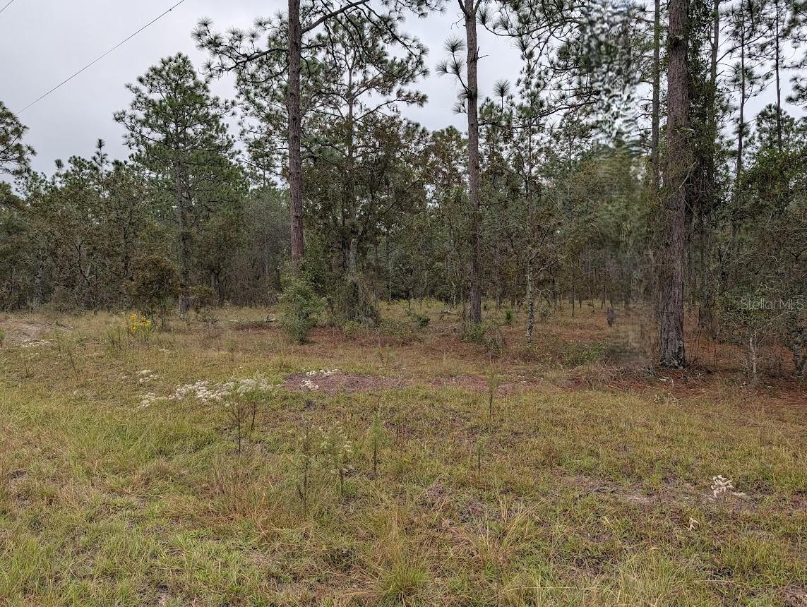 Lot 13 Nw Geranium Ave Property Photo 2