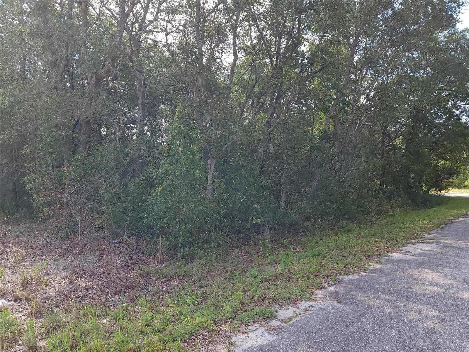 Lot 20 Se Fisher Lane Pass Property Photo 4