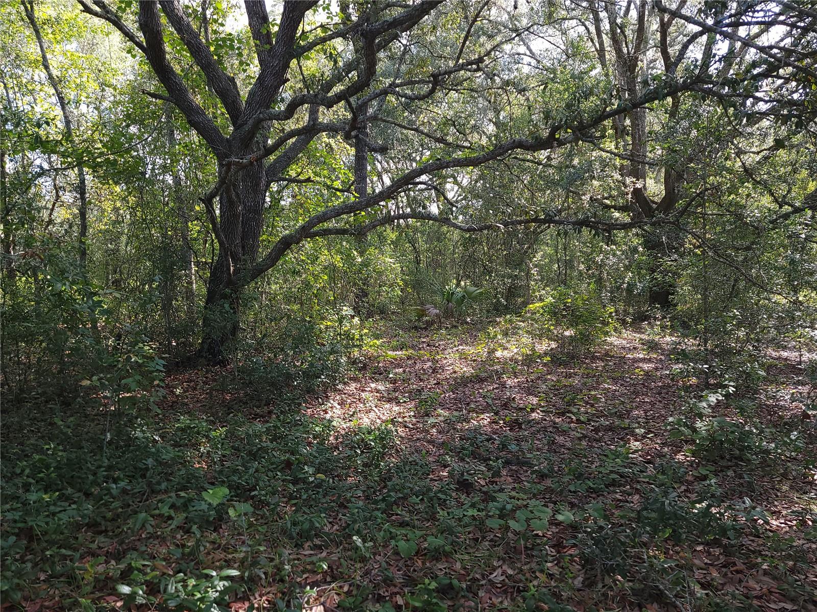 Lot 20 Se Fisher Lane Pass Property Photo 6
