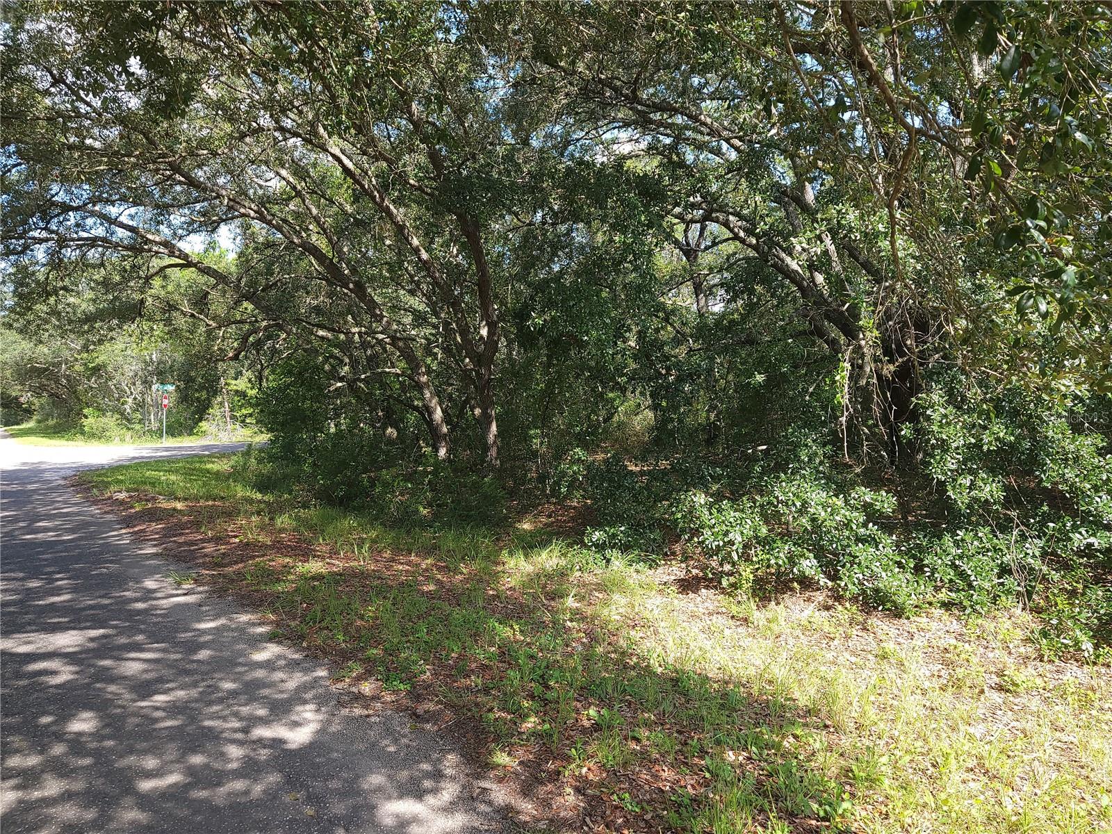 Lot 20 Se Fisher Lane Pass Property Photo 7