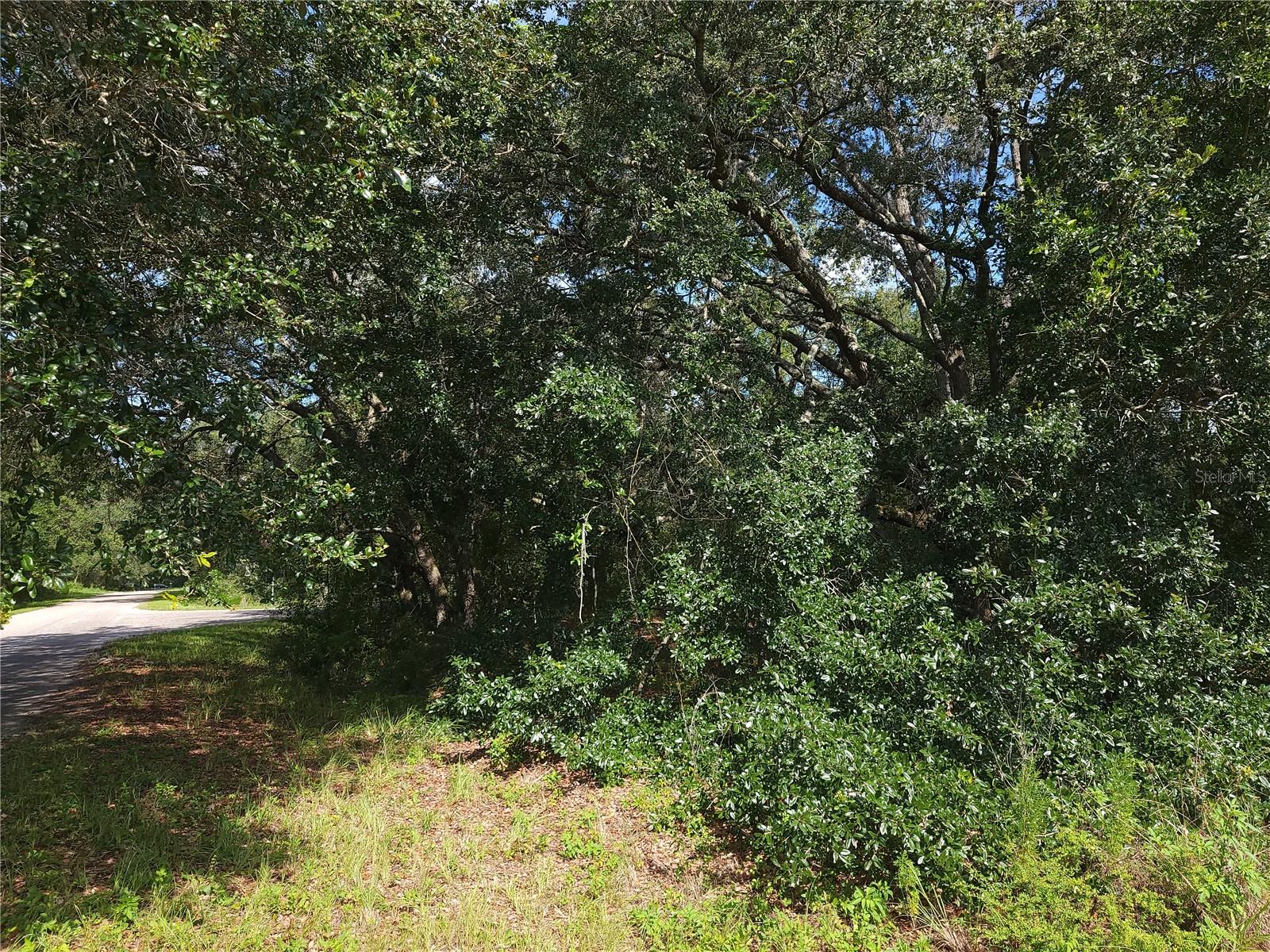 Lot 20 Se Fisher Lane Pass Property Photo 8