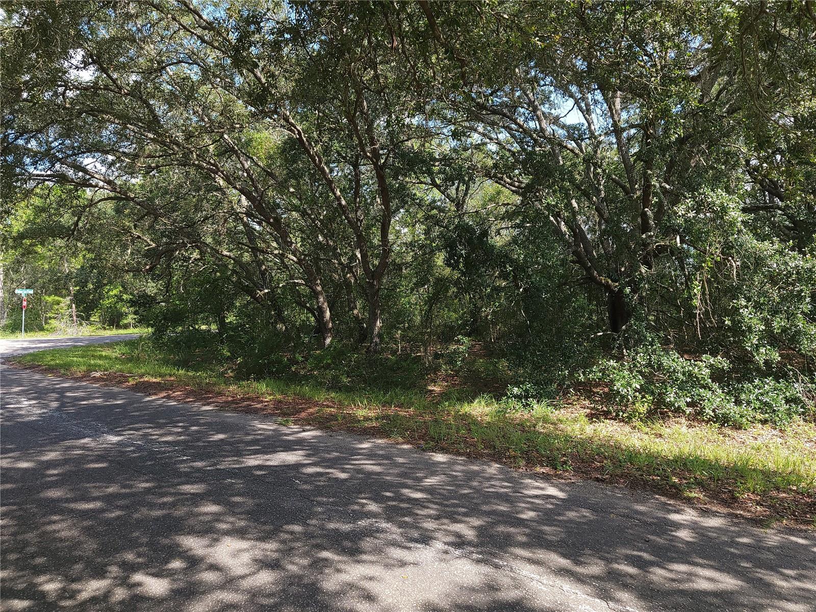Lot 20 Se Fisher Lane Pass Property Photo 9
