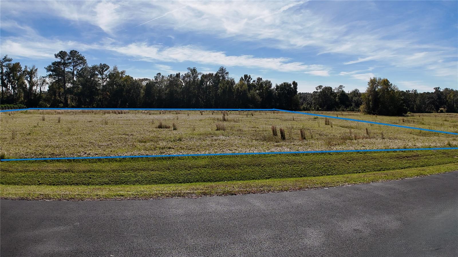 Nw 54th Loop #lot 8 Property Photo 2