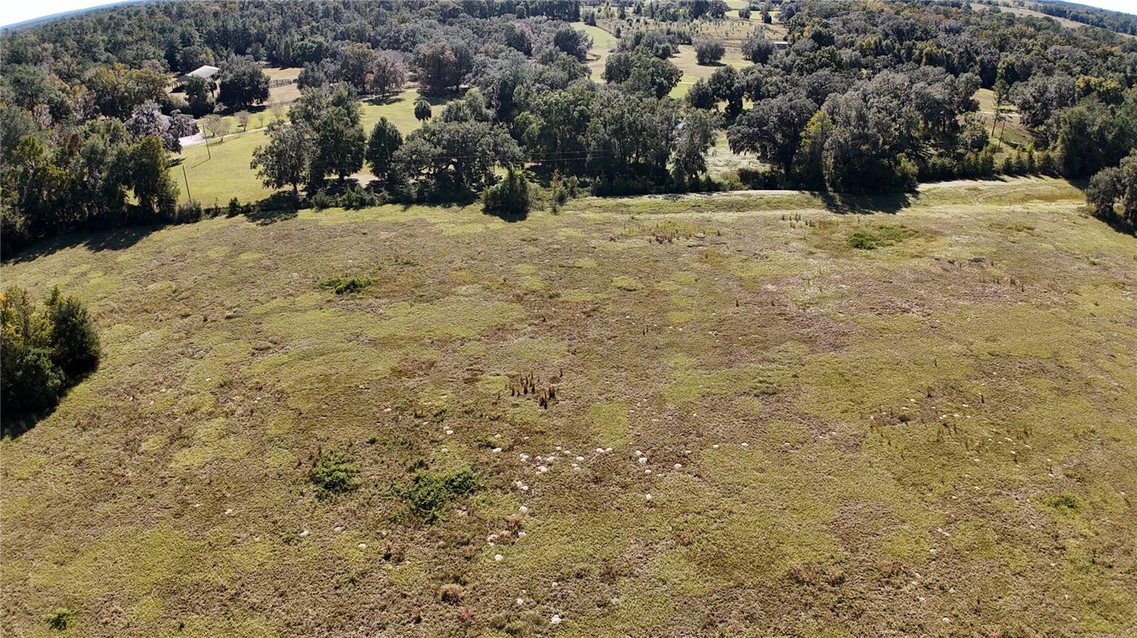 Nw 54th Loop #lot 7 Property Photo 2