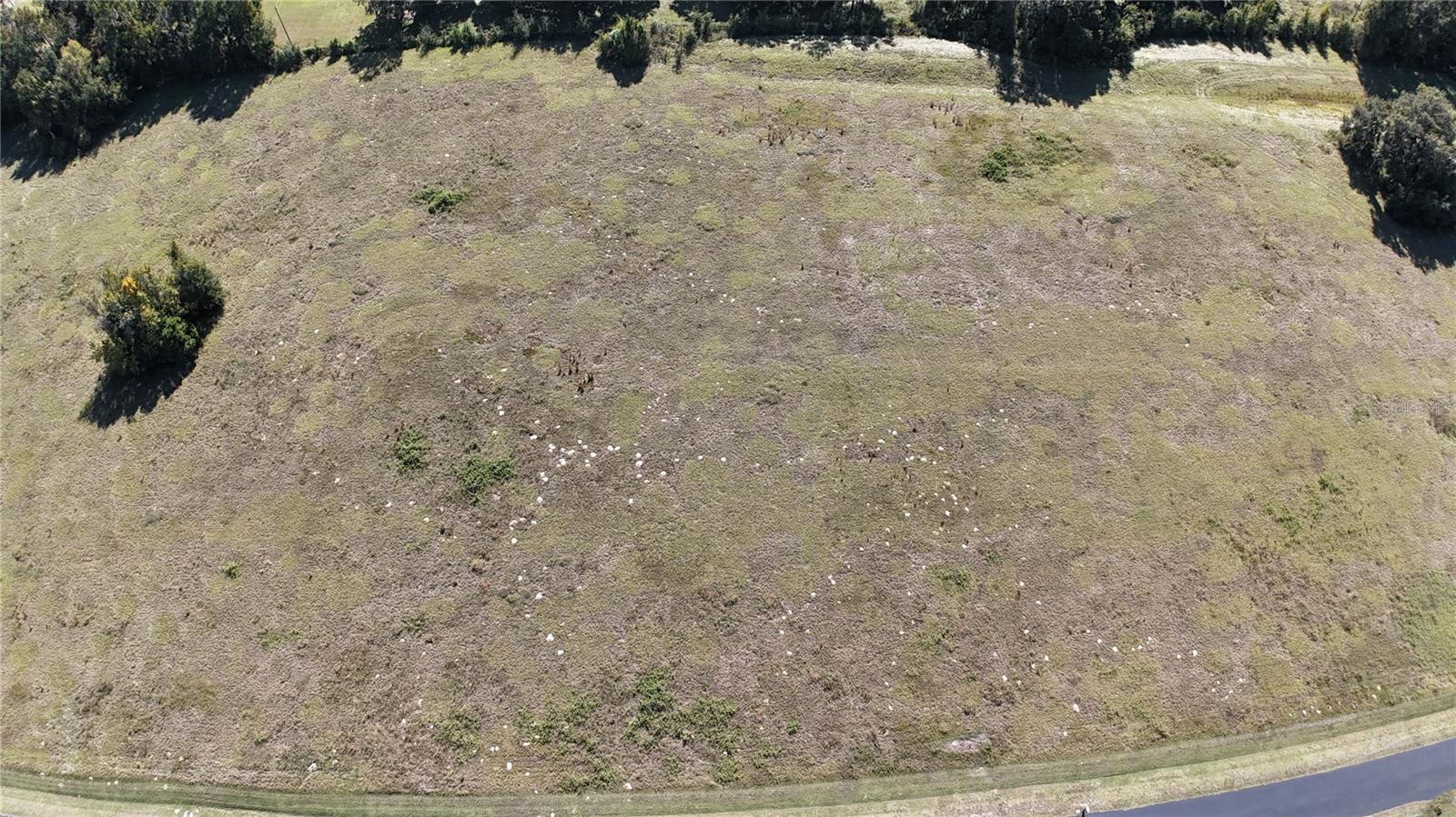 Nw 54th Loop #lot 7 Property Photo 3