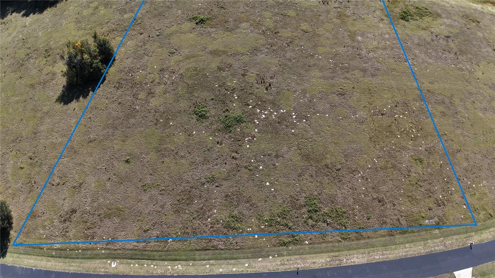 Nw 54th Loop #lot 7 Property Photo 4