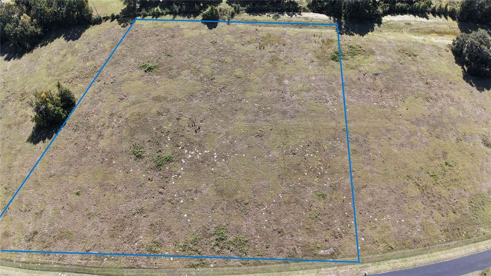 Nw 54th Loop #lot 7 Property Photo 5