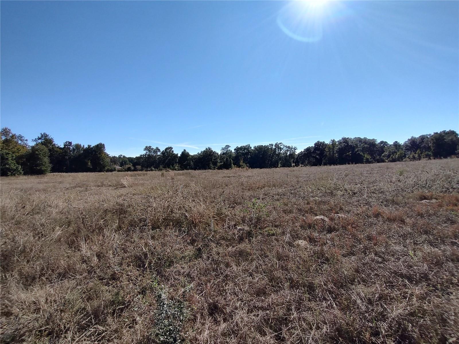 Nw 54th Loop #lot 7 Property Photo 10