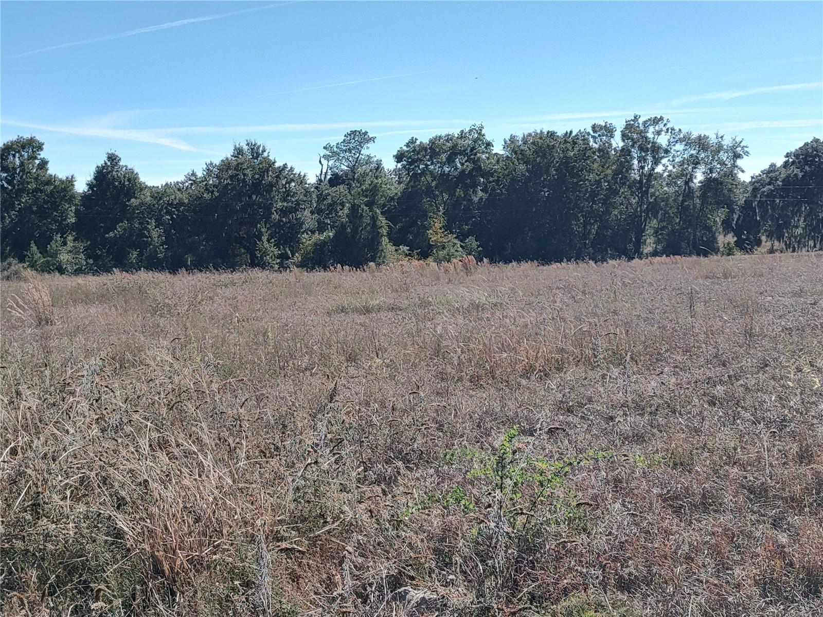 Nw 54th Loop #lot 7 Property Photo 11