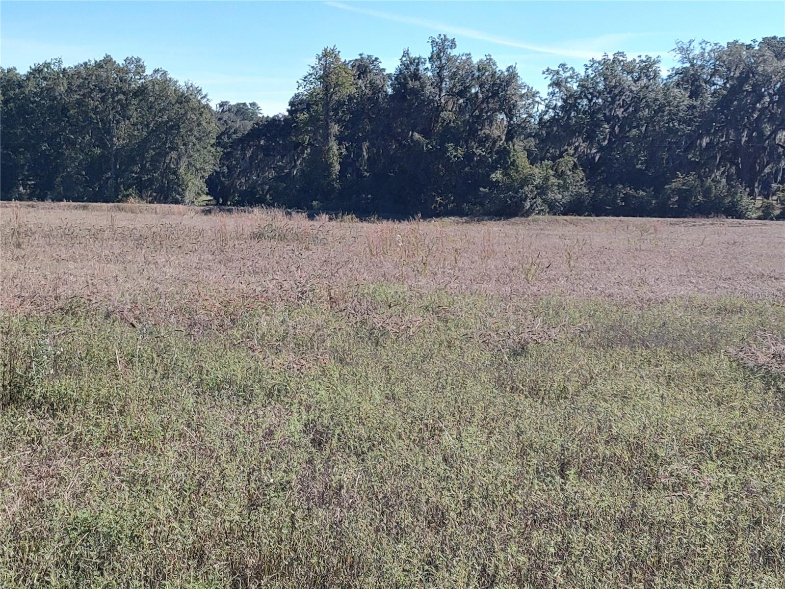 Nw 54th Loop #lot 7 Property Photo 12