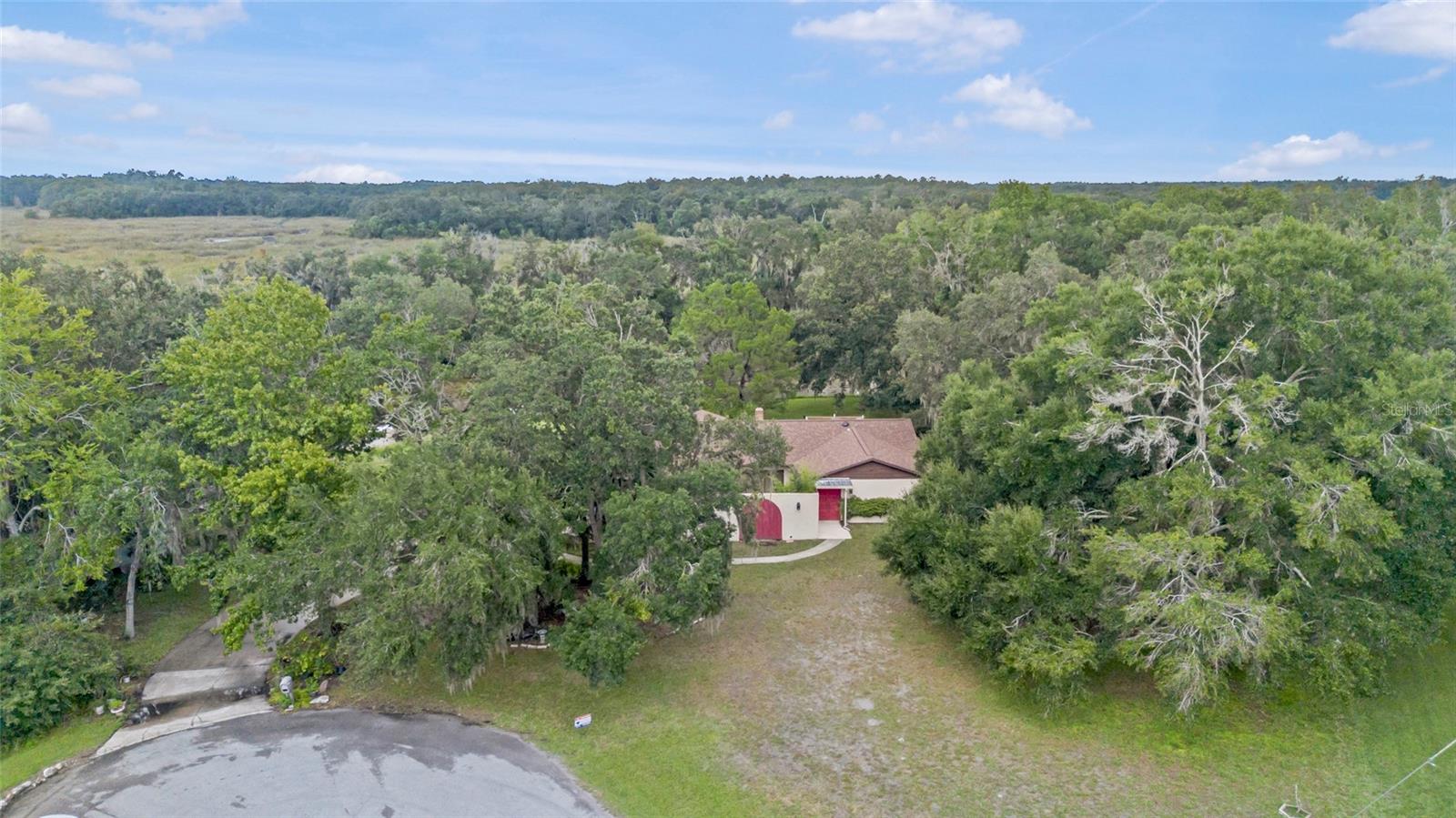 53 N Archwood Dr Property Photo 7