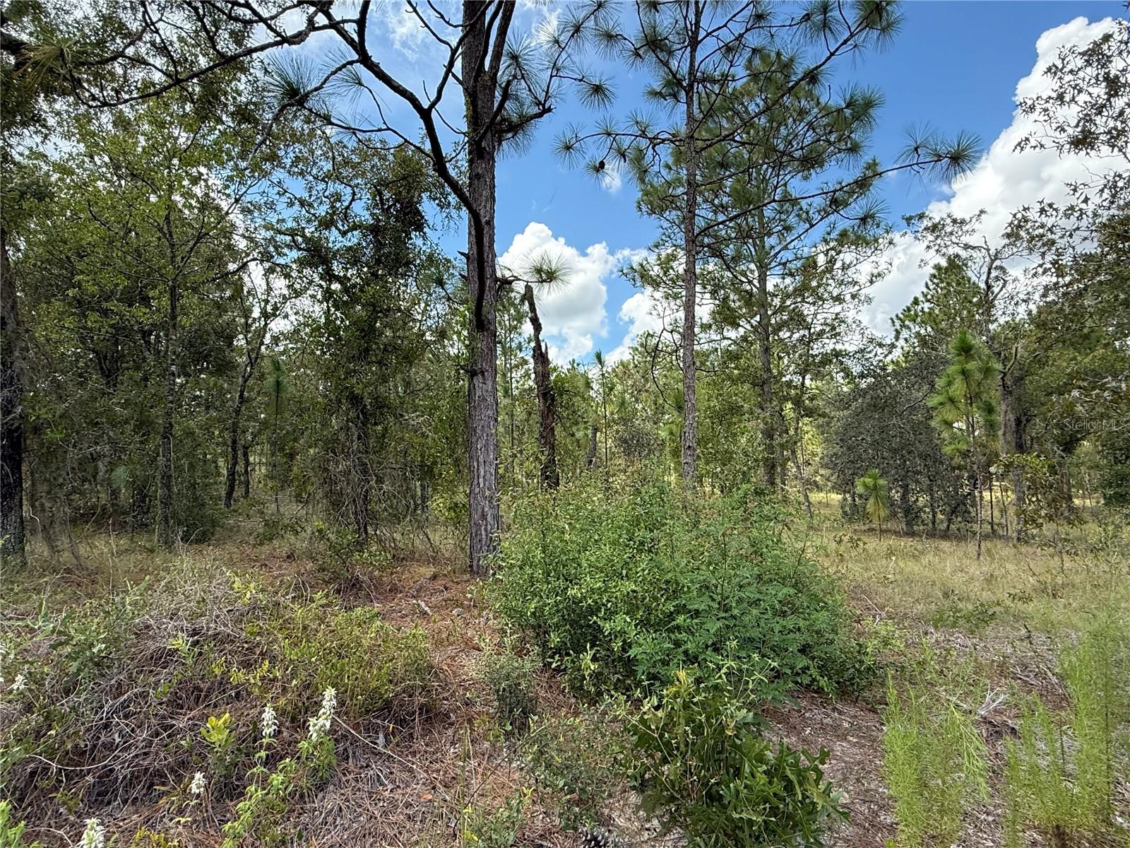 DEER PARK HEIGHTS SW Property Photo 1