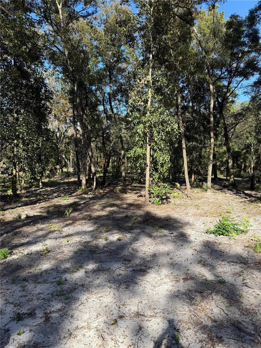 7th Place Property Photo 2