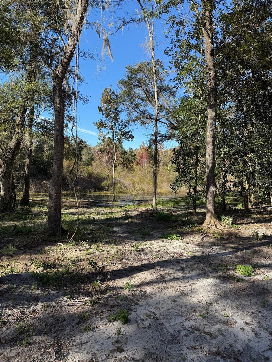 7th Place Property Photo 3