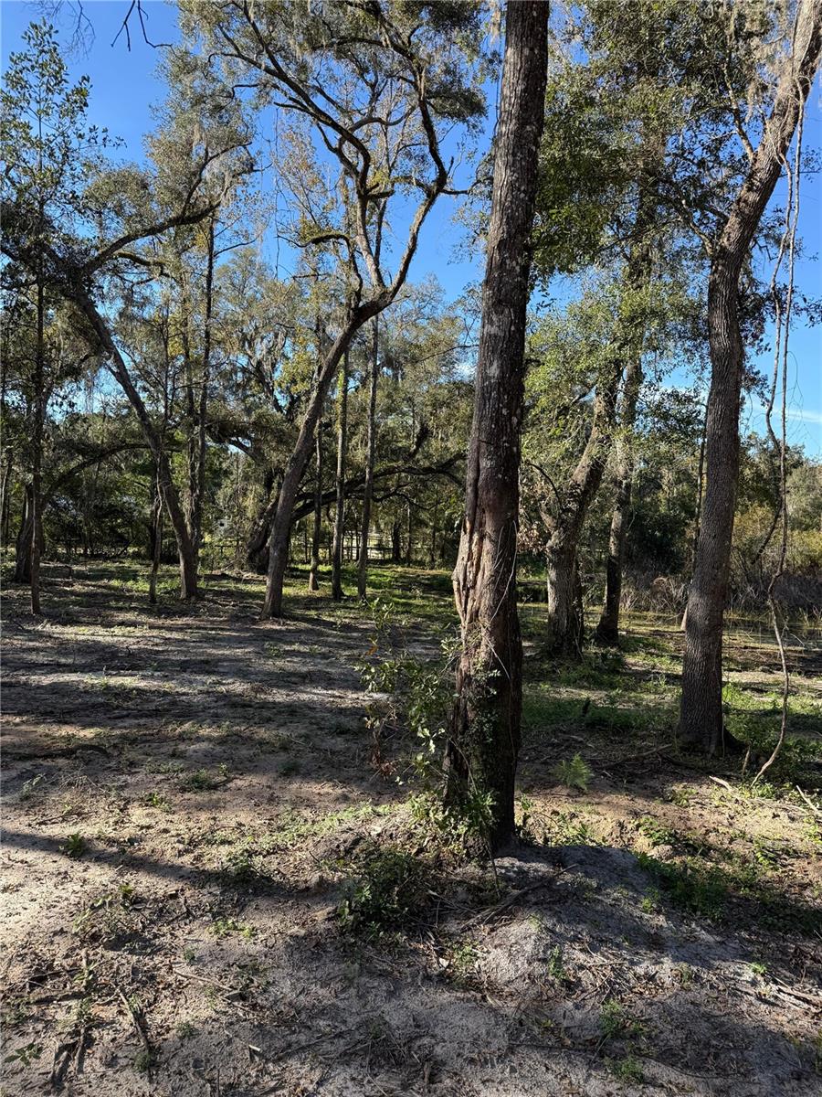 7th Place Property Photo 4