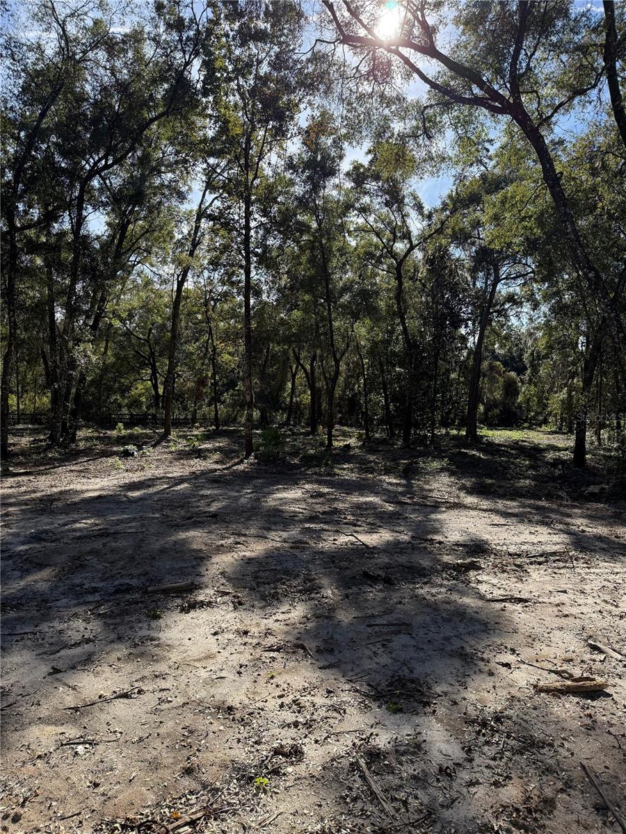 7th Place Property Photo 5