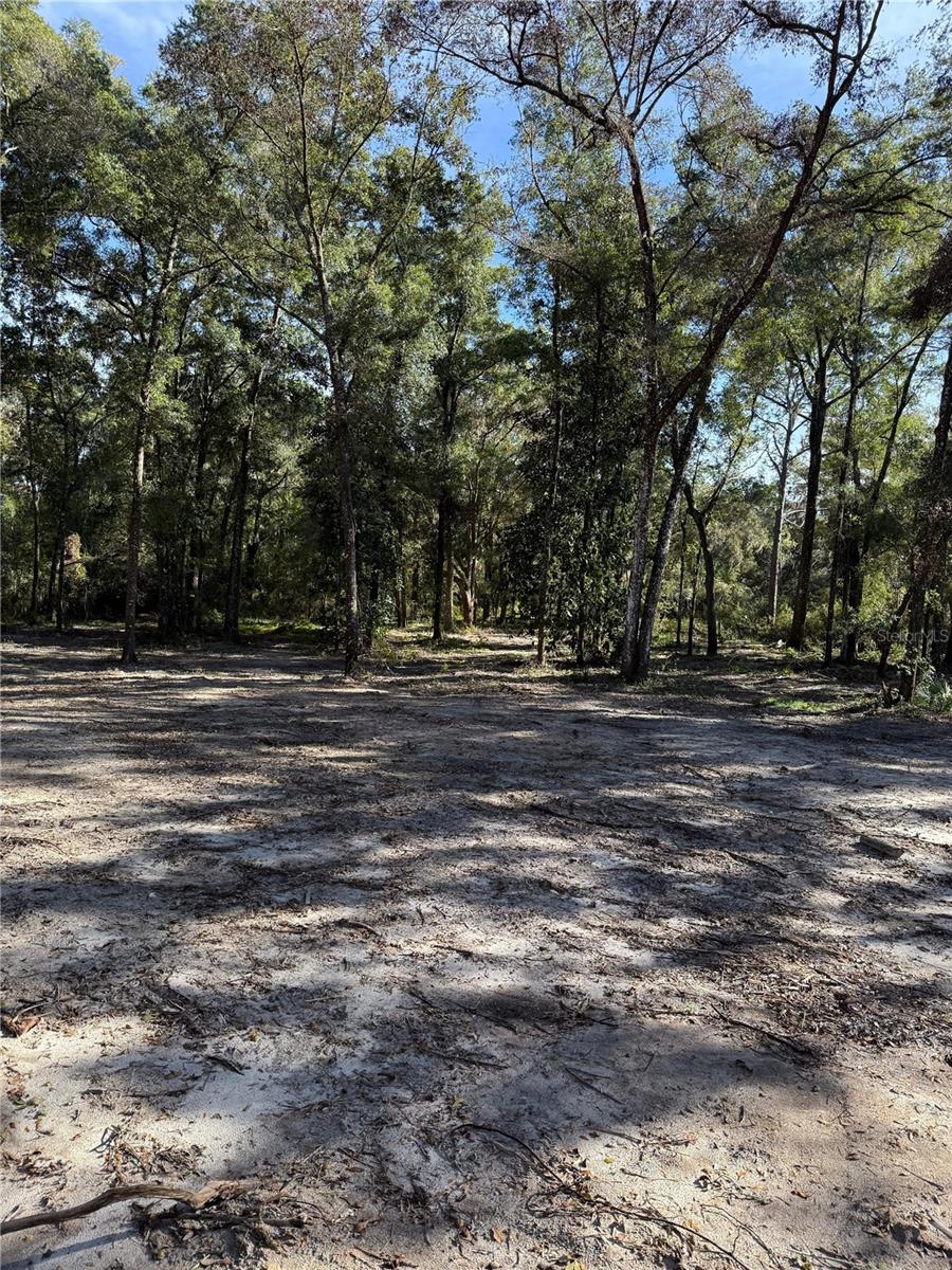 7th Place Property Photo 6