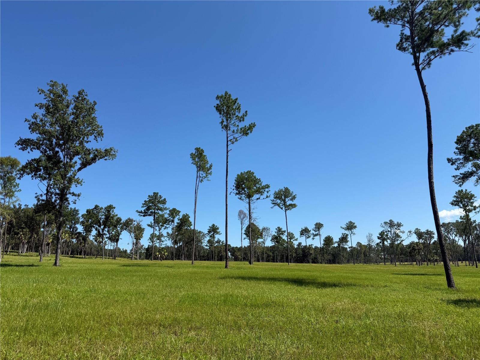 Dr #8 (10ac) Nw 193rd St Property Photo 3