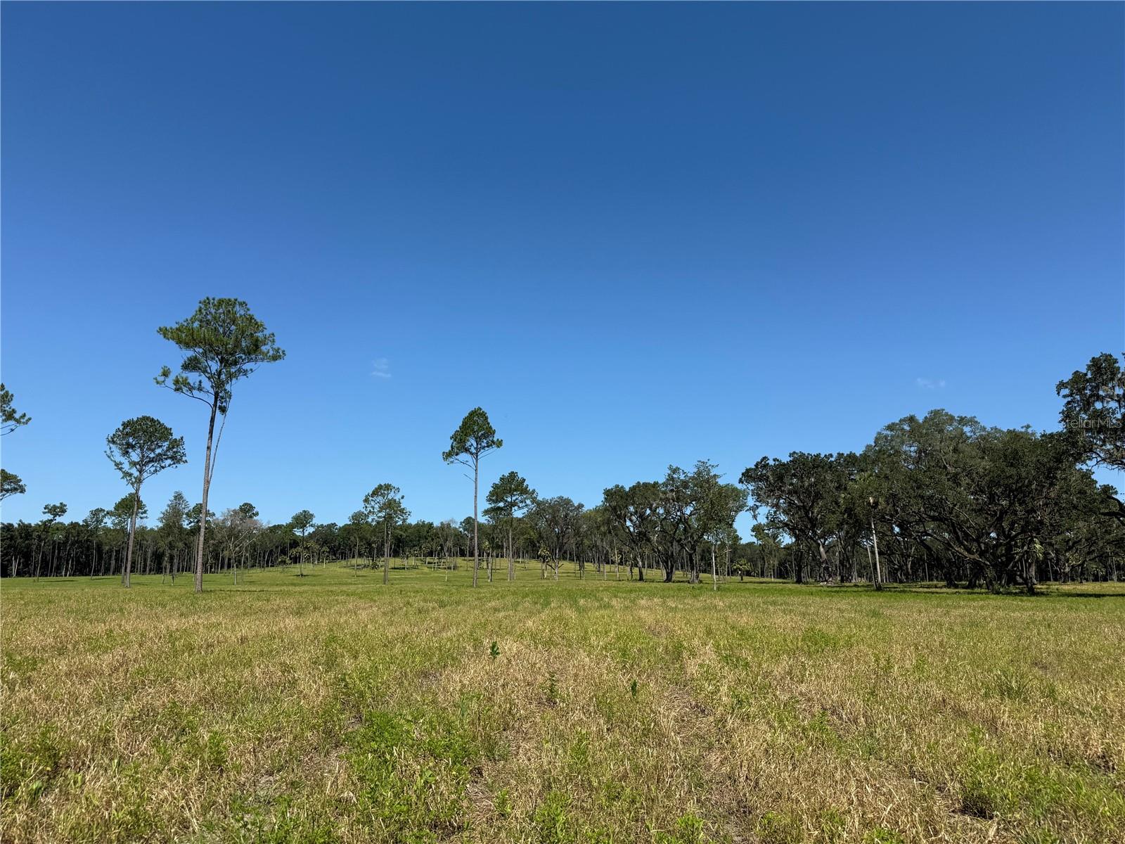 Dr #8 (10ac) Nw 193rd St Property Photo 4