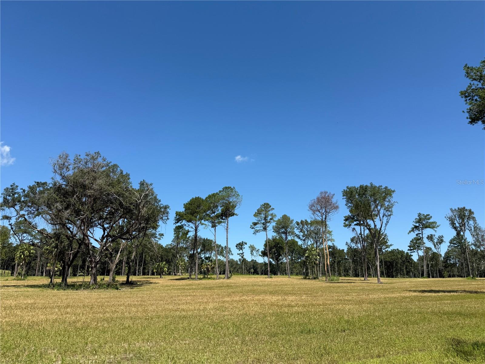 Dr #8 (10ac) Nw 193rd St Property Photo 5