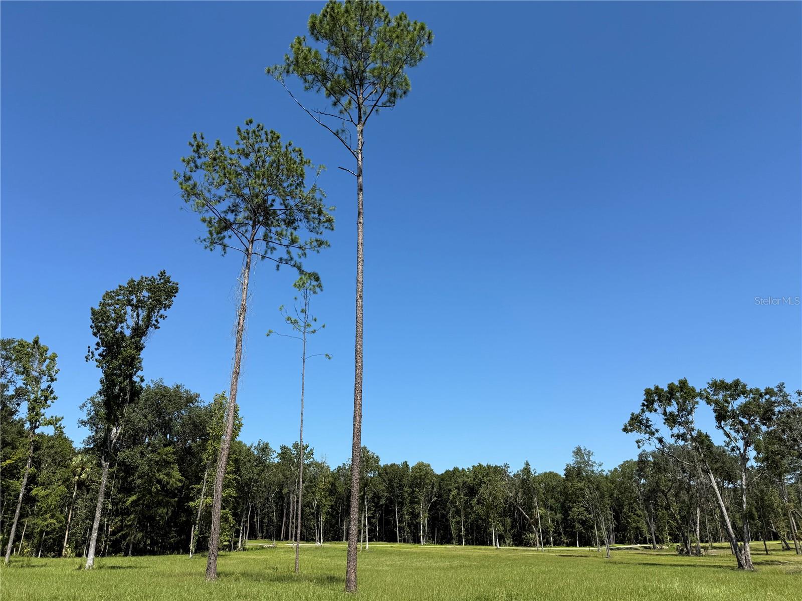 Dr #8 (10ac) Nw 193rd St Property Photo 6