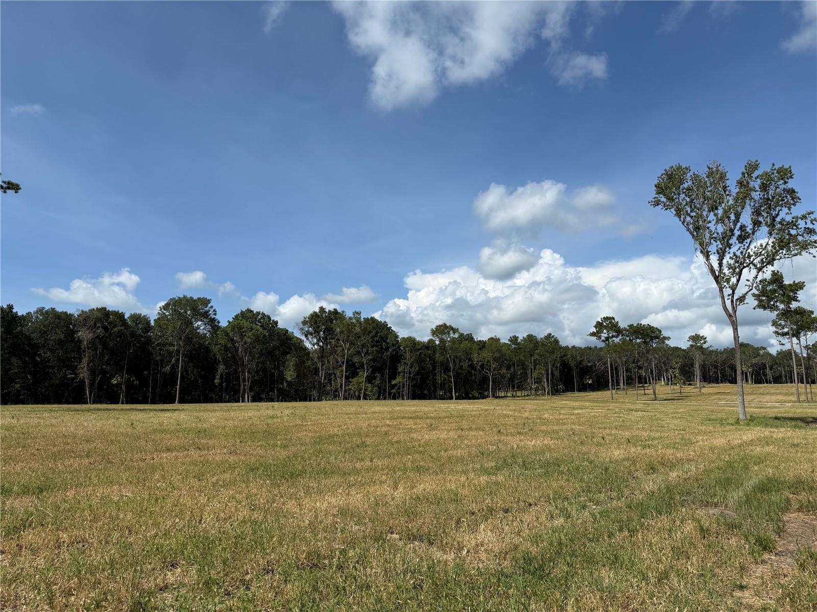 Dr #8 (10ac) Nw 193rd St Property Photo 7