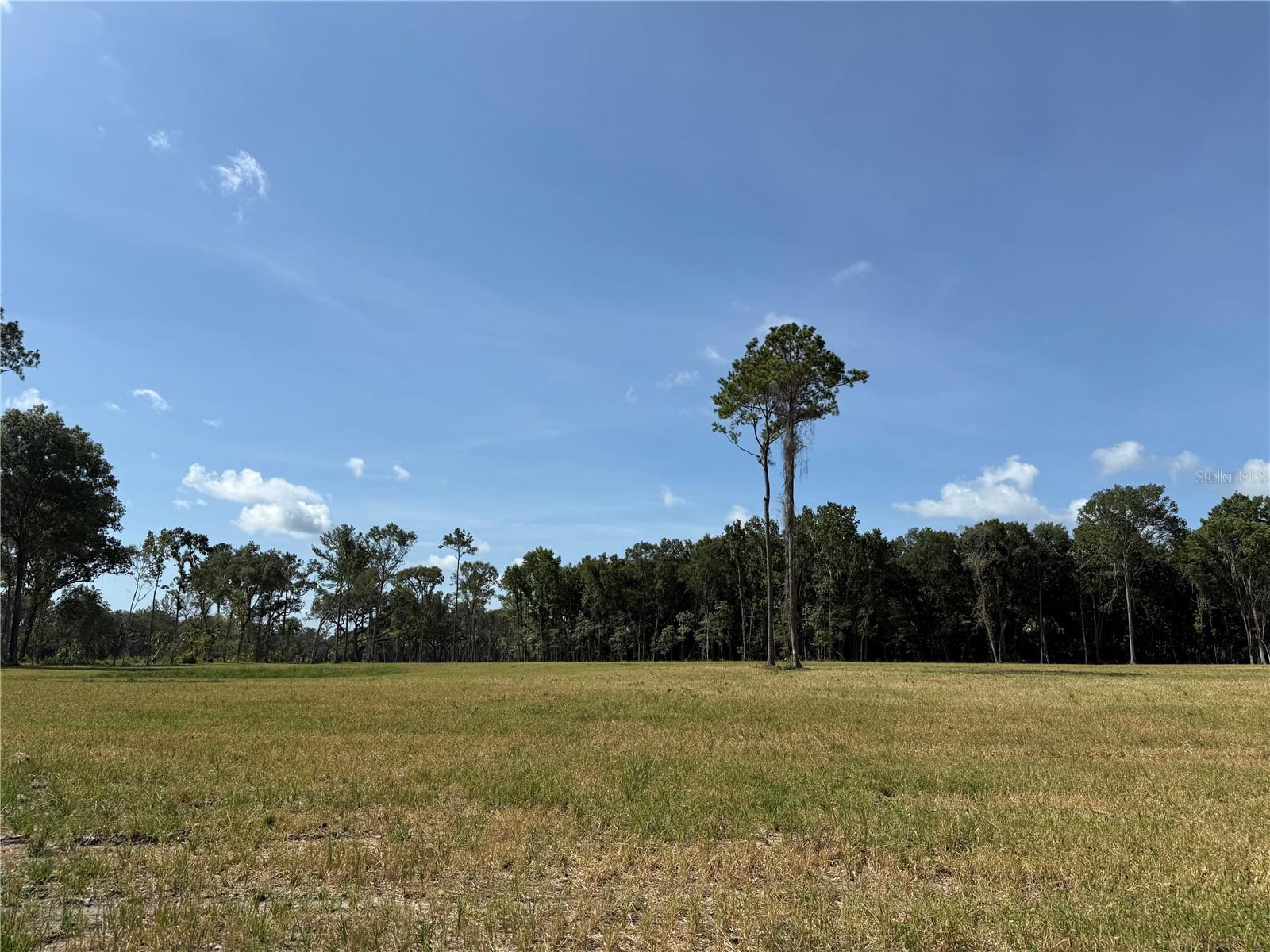 Dr #8 (10ac) Nw 193rd St Property Photo 8