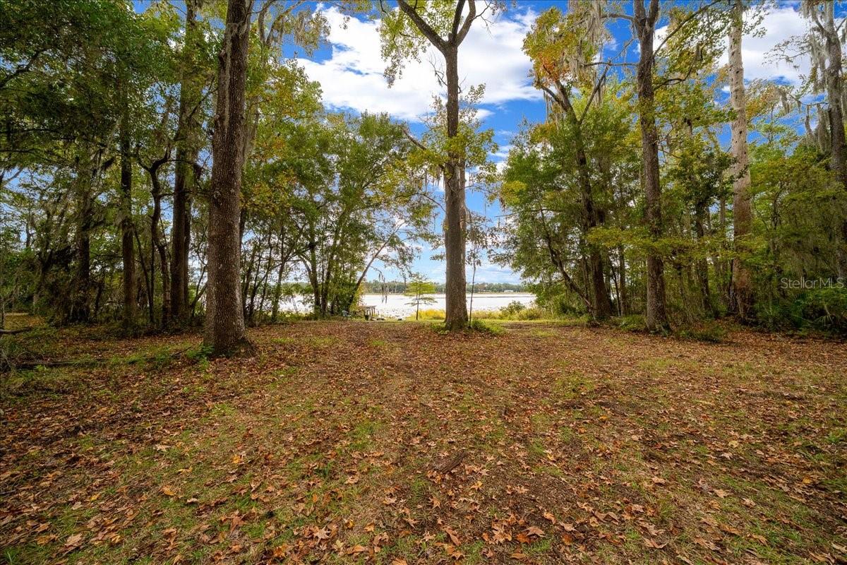 7173 W R Thomas Rd Property Photo 2