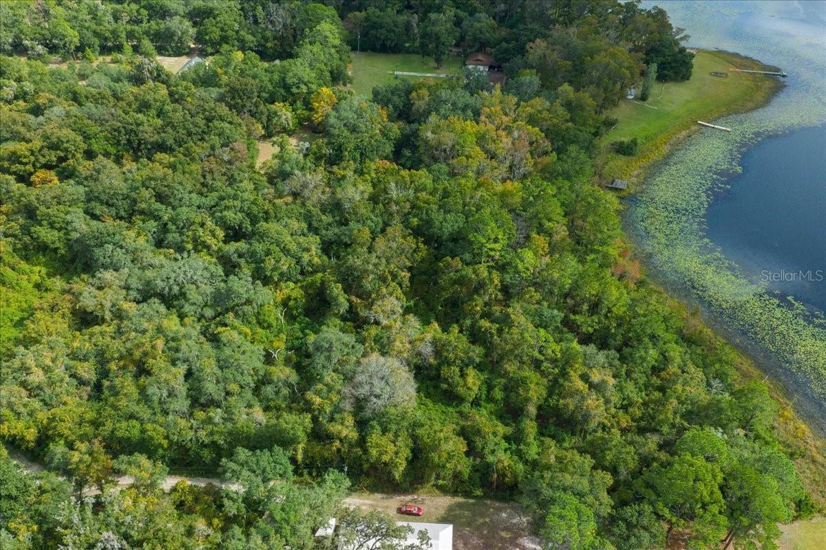 7173 W R Thomas Rd Property Photo 16