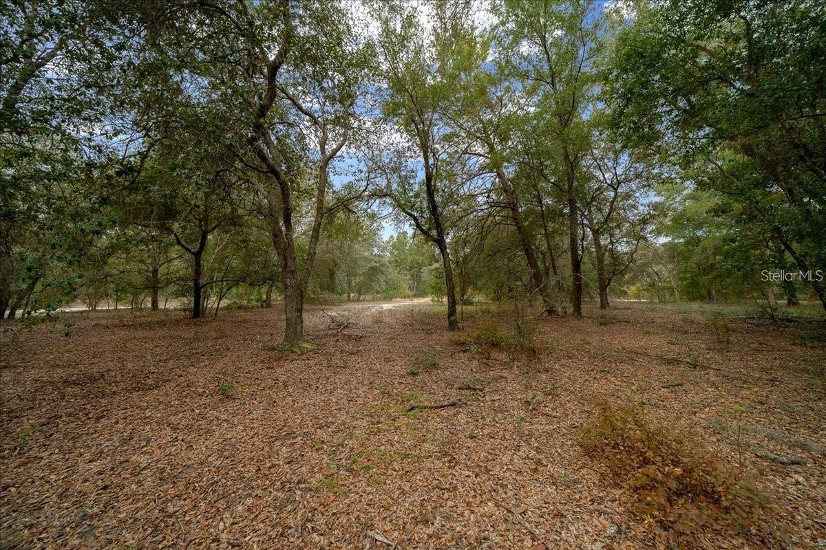 7173 W R Thomas Rd Property Photo 60