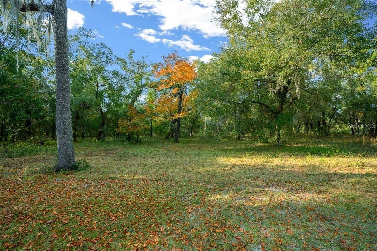 7173 W R Thomas Rd Property Photo 61