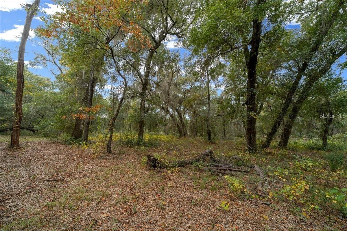 7173 W R Thomas Rd Property Photo 71