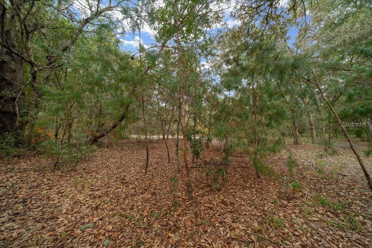 7173 W R Thomas Rd Property Photo 72