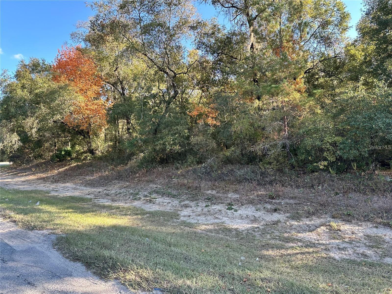 7173 W R Thomas Rd Property Photo 74