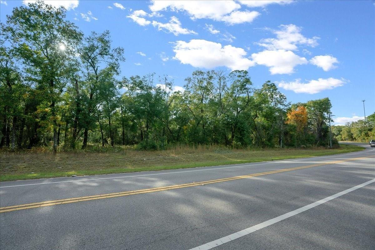 7173 W R Thomas Rd Property Photo 78