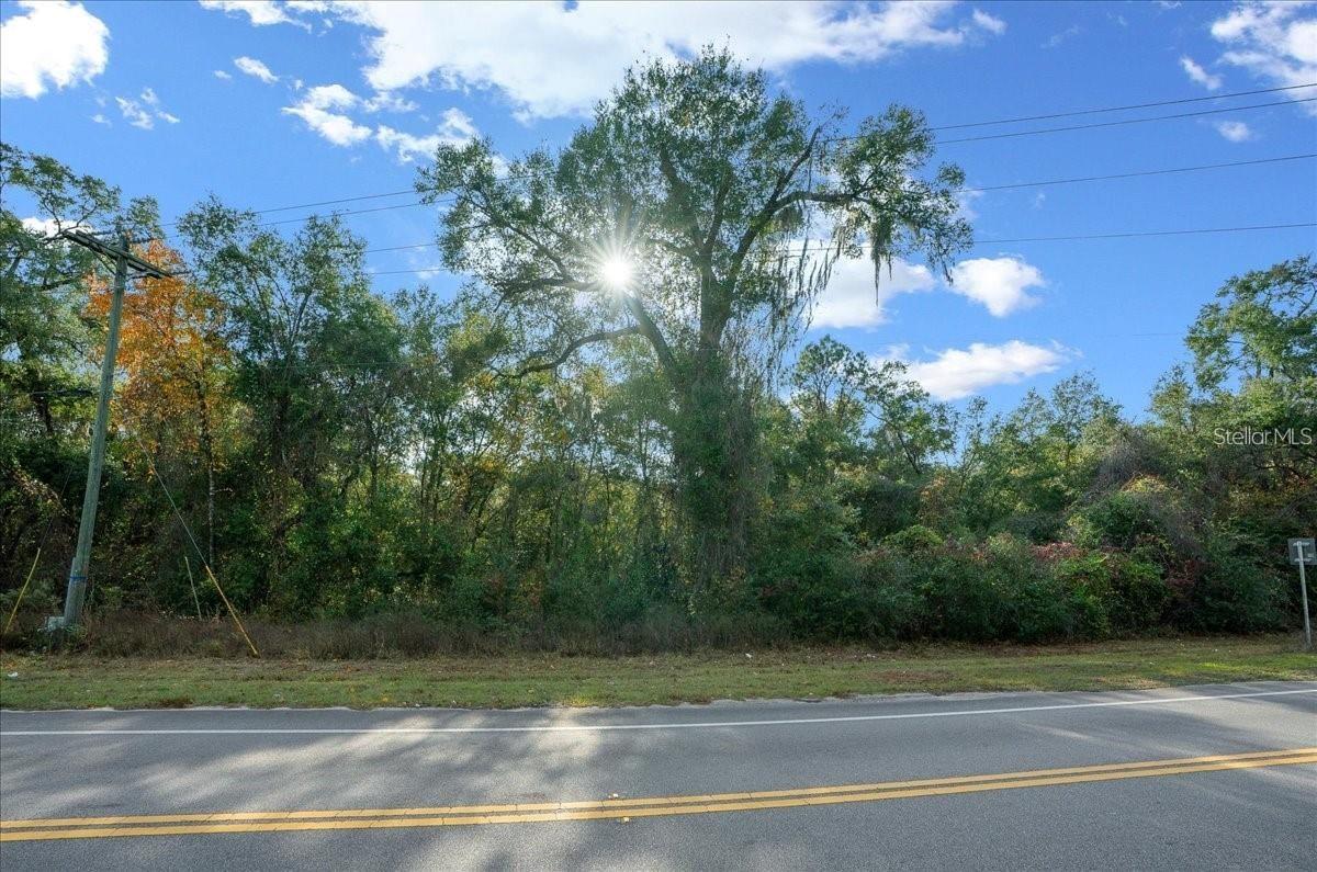7173 W R Thomas Rd Property Photo 79
