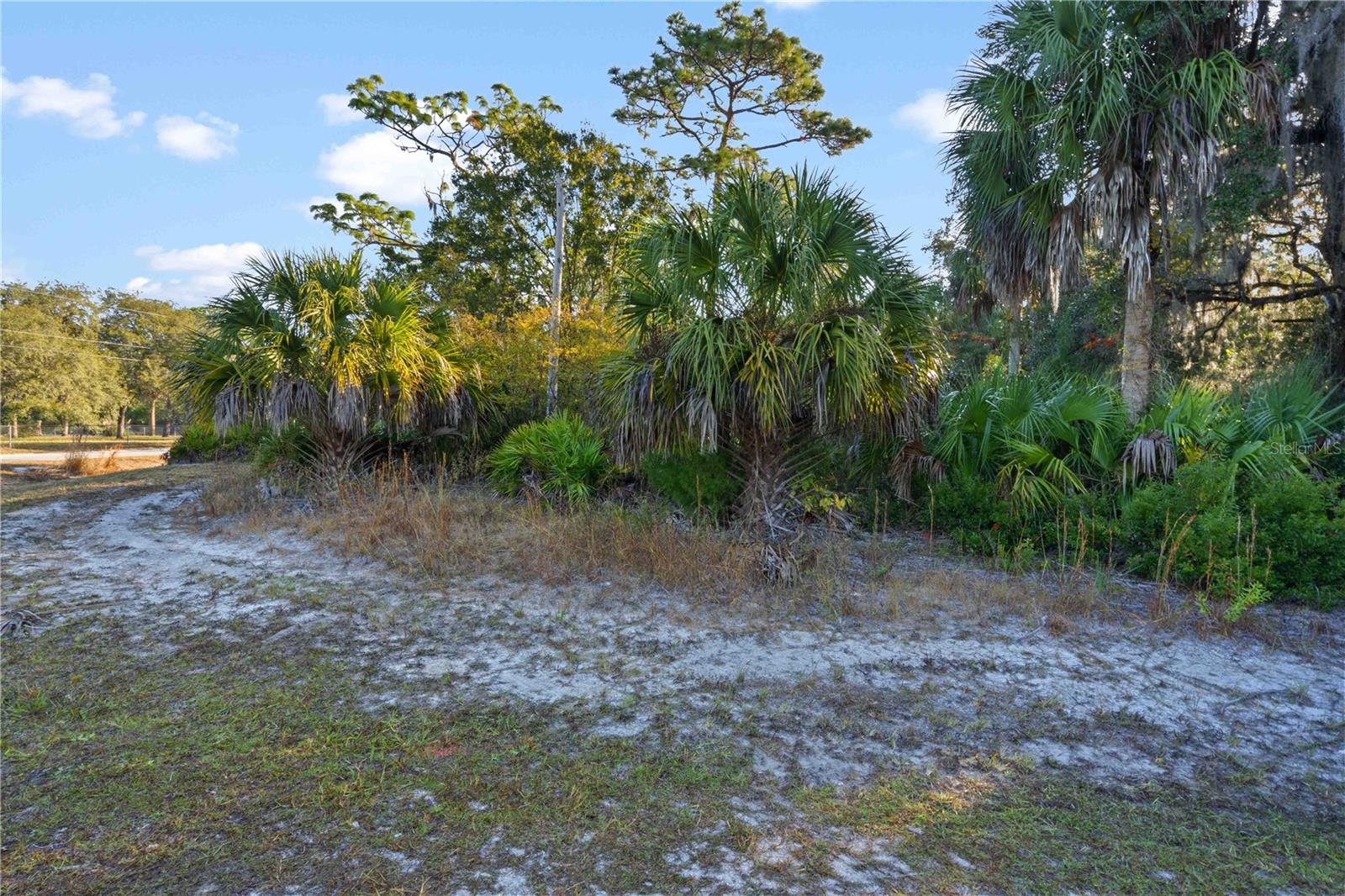 Tbd E Cason Blvd Property Photo 4