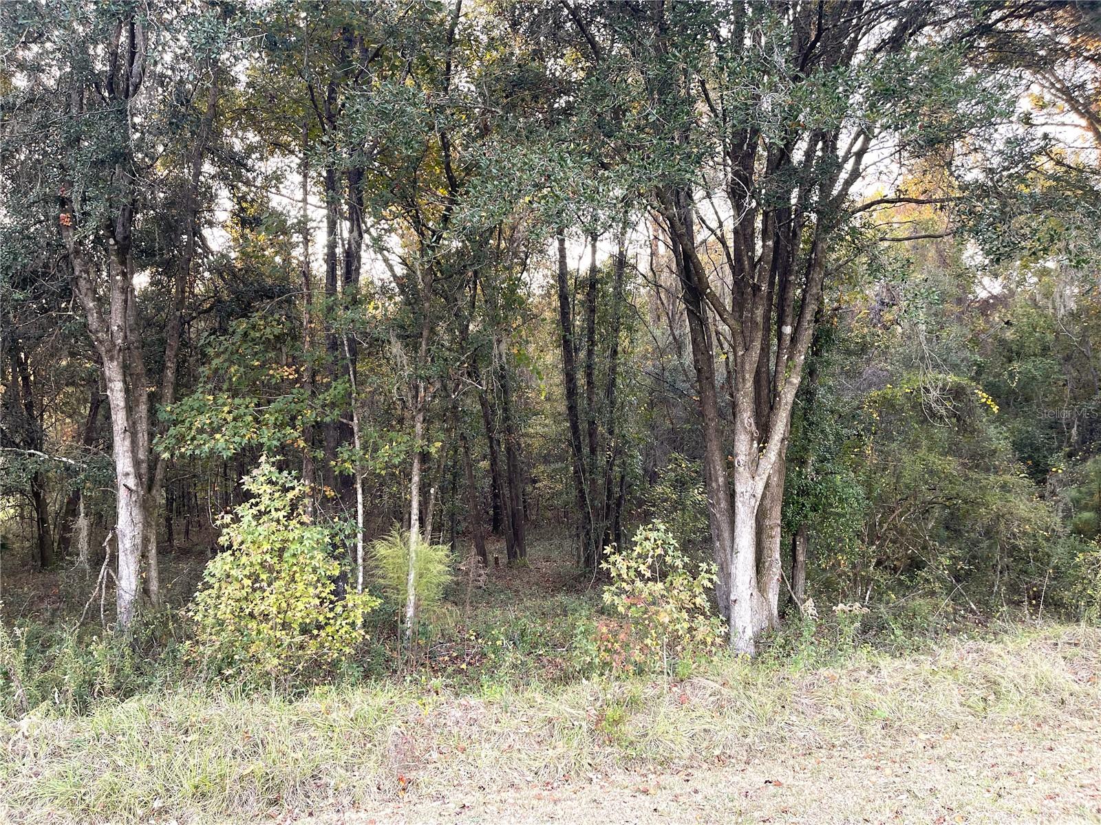 NW 145TH AVE LOT 25 Property Photo 1