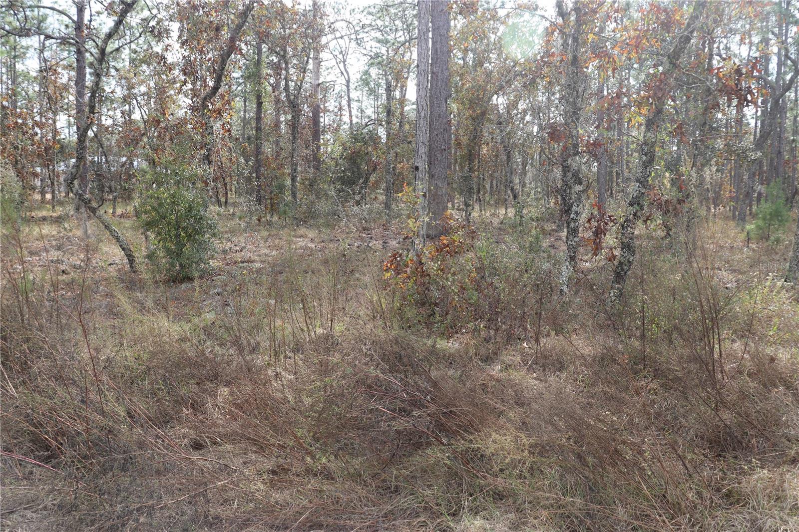 00 GERANIUM AVE Property Photo 1