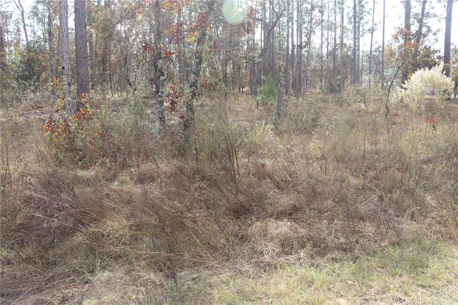 00 Geranium Ave Property Photo 2