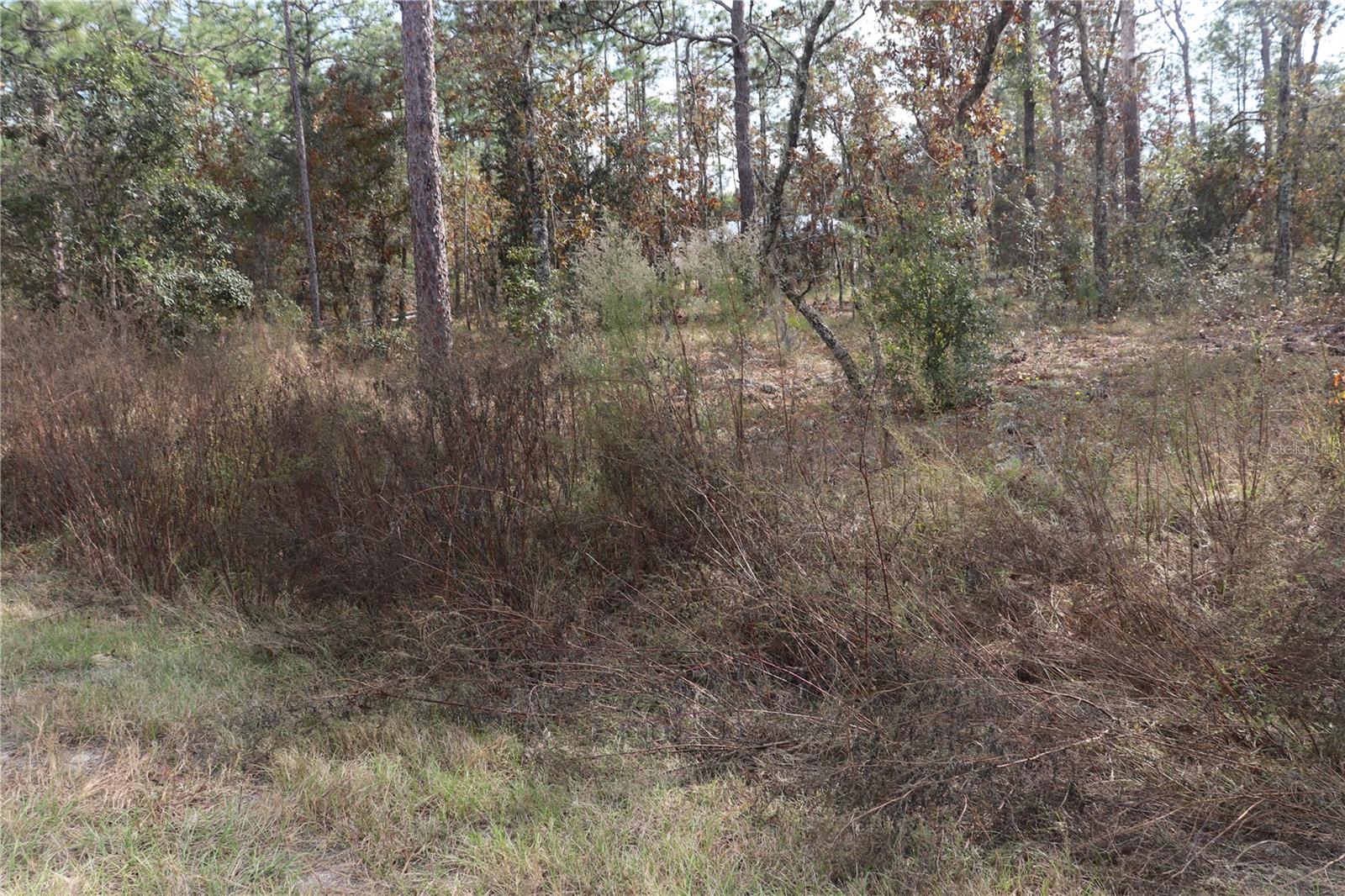 00 Geranium Ave Property Photo 3