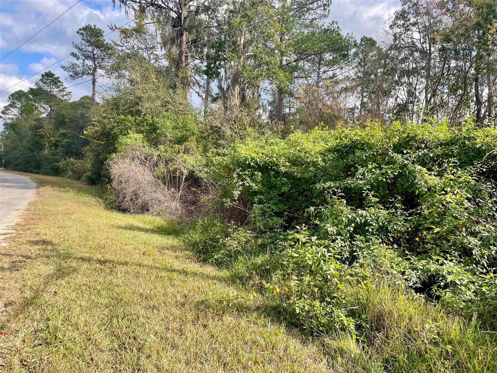 000 Fisher Run Property Photo 2