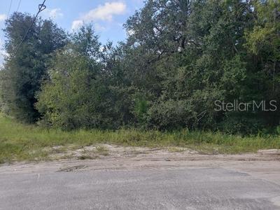341 S County Road 315 Property Photo 4