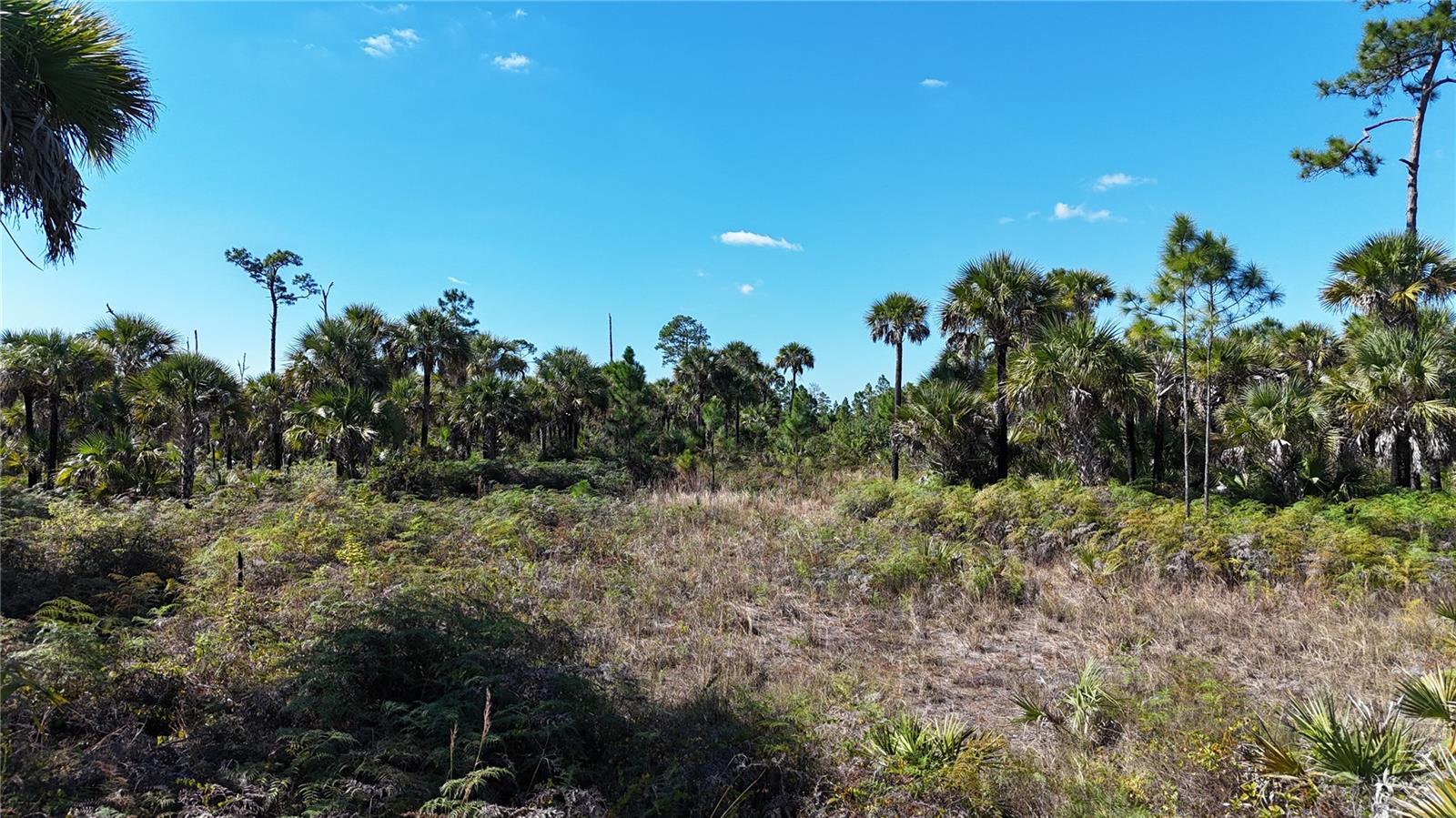 Na Property Photo 15